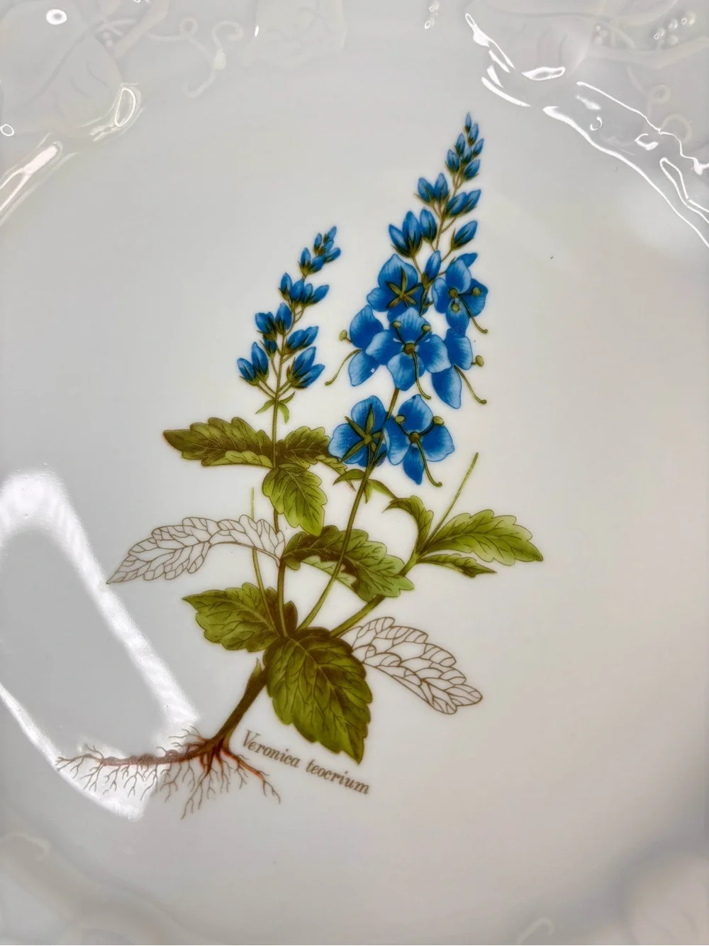 Dansk Ivy Embossed White Porcelain Flower Botanical Luncheon Plates France Set 4
